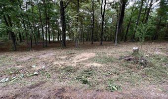 1 CENTURAS Cir 2, Alpine, AL 35014