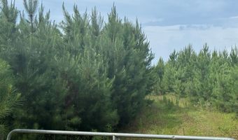 0 County Road 204, Ariton, AL 36311