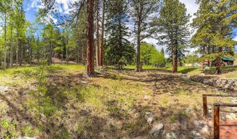 412 Highway 7 Business, Allenspark, CO 80510