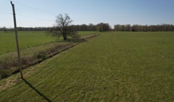 Tract 4 0000 Private Road 1184, Aurora, MO 65605