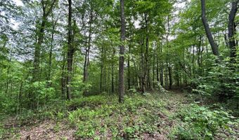 0 Oliver Lipscomb, Aurora, WV 26705