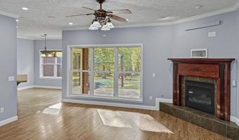 1635 Robertson Rd, Blue Springs, MS 38828