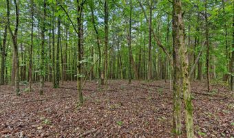 12712 Cranfield Rd, Birchwood, TN 37308
