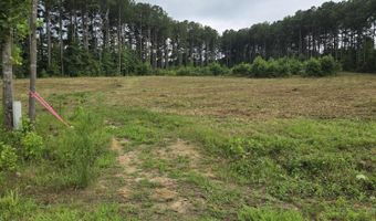 Lot 51 Roseheath Court, Bailey, NC 27807