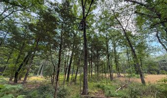 Old Moyers Road, Antlers, OK 74523