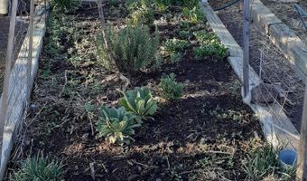 460 461 CR8301, Concho, AZ 85924