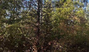 Old CC Rd, Addy, WA 99101