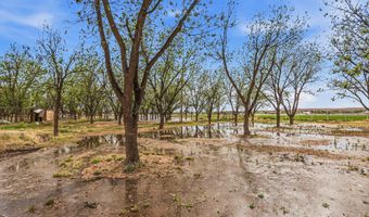 617 WALLACE Rd, Anthony, NM 88021