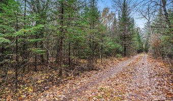 VL Wildwood Road, Alger, MI 48610