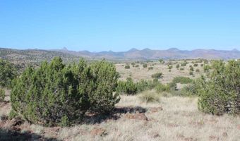 TR 111 Sierra La Rana, Alpine, TX 79830