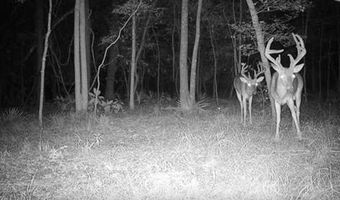 2200 Gillionville Rd, Albany, GA 31707