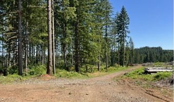 Tunnel Tract Parcel2, Banks, OR 97106