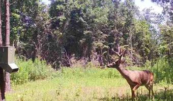 2517 Wesson Gap Rd, Attalla, AL 35954