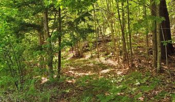 Barnett Road lot 16, Calais, VT 05648