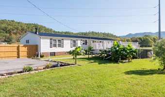 11504 Grapefield Rd, Bastian, VA 24314