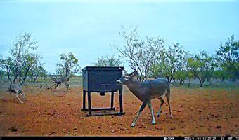 TBD East Tract County Road 356, Anson, TX 79501
