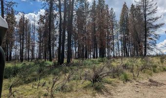 0 Bull Pine Rd, Bly, OR 97622
