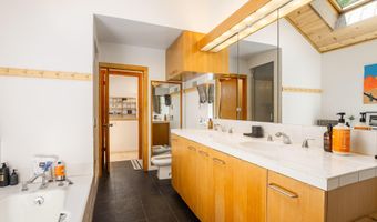 216 E Homestead Dr, Basalt, CO 81621
