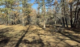 Hummingbird Drive, Bonanza, OR 97623