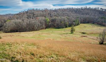 1520 Brittontown Rd, Afton, TN 37616