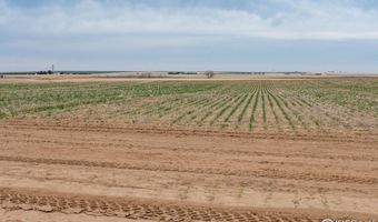 Lot 14 144TH Ave, Bennett, CO 80102