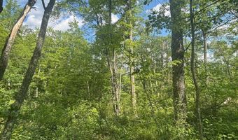 SWAN BAY Road 6, Amberg, WI 54102