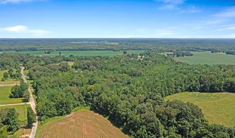 0 Cotton Grove Rd, Beech Bluff, TN 38313