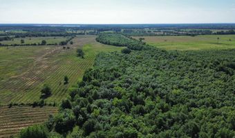Pine Prairie Rd, Ashdown, AR 71822
