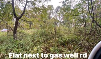 Bandy Rd / Whitaker Ridge Area, Bandy, VA 24602