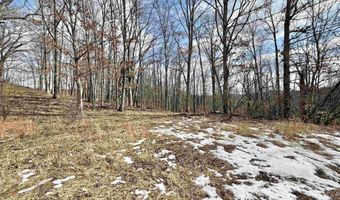 3938 Saint Clara Rd, Alum Bridge, WV 26321