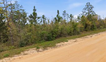Channel Drive, Alford, FL 32420