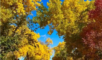 927 5th St, Berthoud, CO 80513