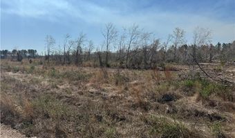 0 35.01 Acres Bacon School Rd, Alma, GA 31510
