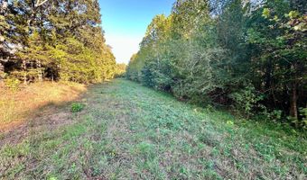 51 Shelton Rd, Bee Branch, AR 72013