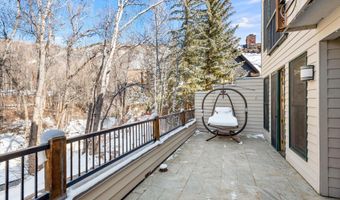 990 E Hopkins Ave, Aspen, CO 81611