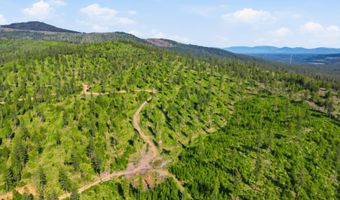NNA Stone Rd Lot 5 20.0 Acres, Blanchard, ID 83804