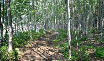 9537 LAKEVIEW, Alanson, MI 49706