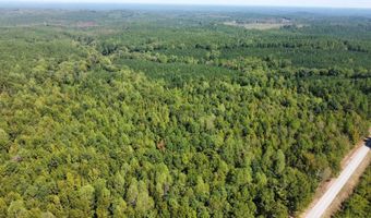 3 Highway 790, Ackerman, MS 38963