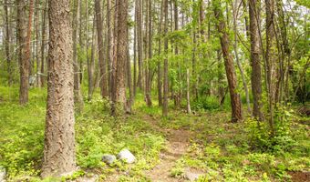 9230 And 9234 Mt Highway 35, Bigfork, MT 59911