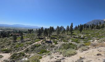 1219-04 002-005 Kingsbury Grade Rd, Gardnerville, NV 89460