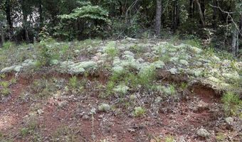 2242 WESTWOOD Dr Lot 11, Alexandria, AL 36250