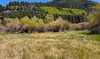 Cottonwood Drive lot 25 & 26, Antonito, CO 81120