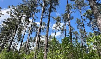 156 Ac Calvary Rd, Alton, VA 24520