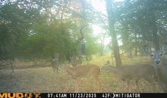 1552 County Road 2395, Alvord, TX 76225