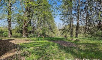 8725 Conservation St NE, Ada, MI 49301