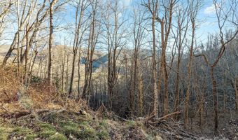 NC 209 Highway, Aurora, NC 28743