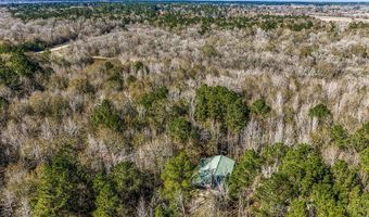5280 Whitaker Way, Anderson, TX 77830