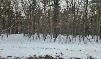 L59 Badger Court lot 59, Arkdale, WI 54613