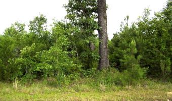 118 LR 27, Ashdown, AR 71822