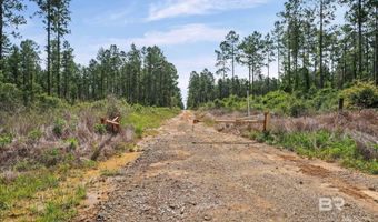 Green Town Road, Bay Minette, AL 36507
